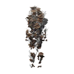 Mushroom Set — complete armor set