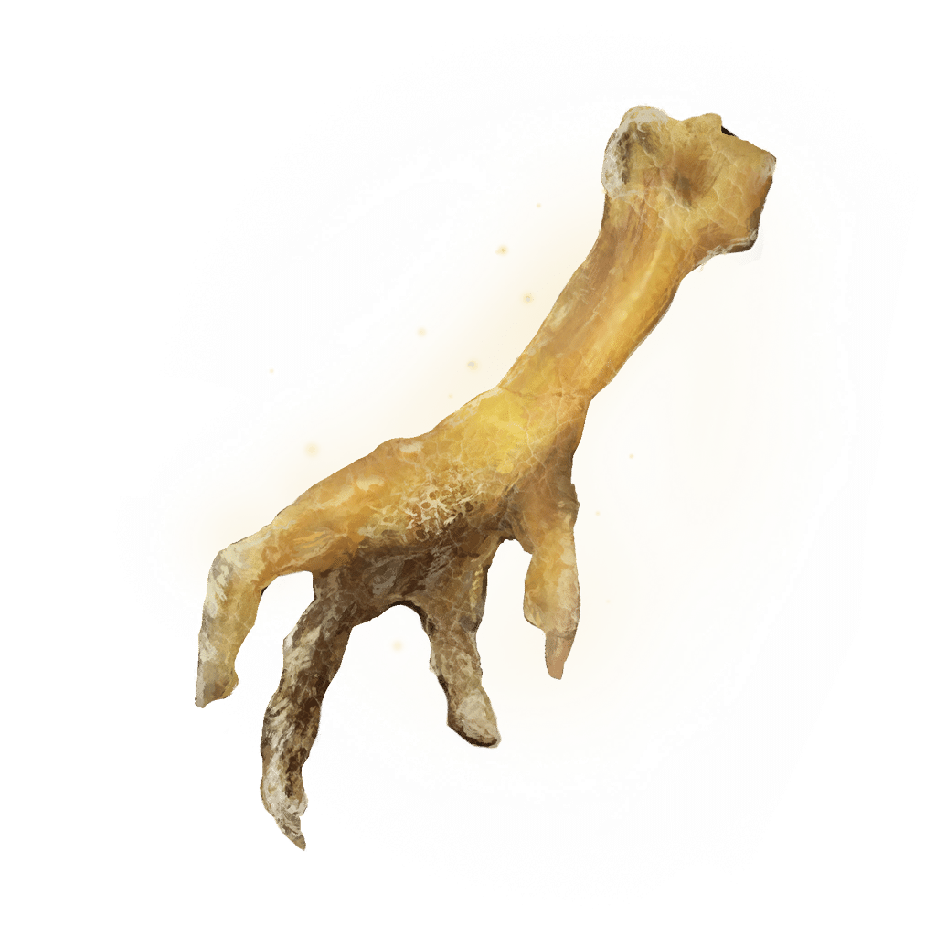 Gold-Pickled Fowl Foot icon