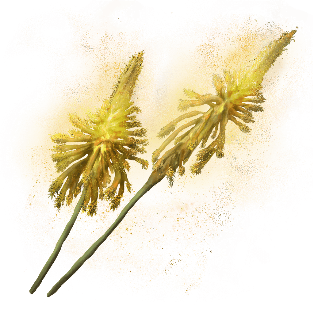 Altus Bloom icon
