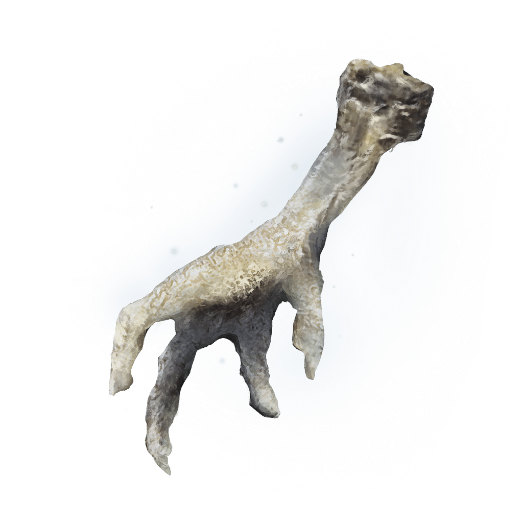 Silver-Pickled Fowl Foot icon
