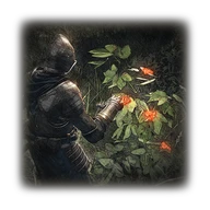 About Materials icon