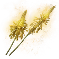 Altus Bloom icon