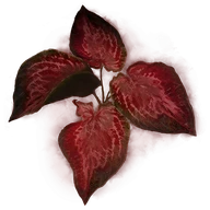 Arteria Leaf icon