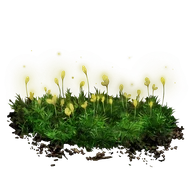 Budding Cave Moss icon