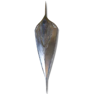 Carian Thrusting Shield icon