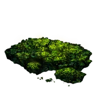 Cave Moss icon