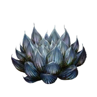 Dewgem icon
