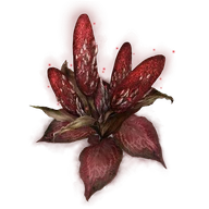 Dragon's Calorbloom icon