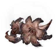 Faded Erdleaf Flower icon