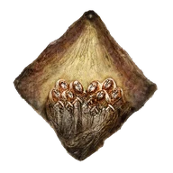 Faithful's Canvas Talisman icon
