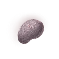 Fingerprint Nostrum icon
