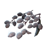 Frozen Raisin icon