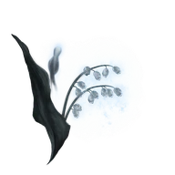 Ghost Glovewort [2] icon
