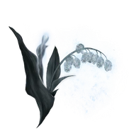 Ghost Glovewort [4] icon