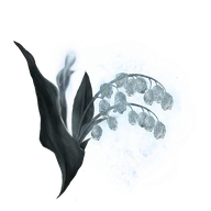 Ghost Glovewort [5] icon