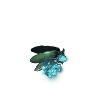 Glintslab Firefly icon