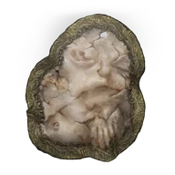 Godskin Swaddling Cloth icon