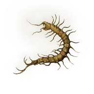 Golden Centipede icon
