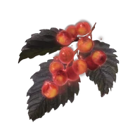 Golden Rowa icon