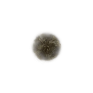 Golden Rune [2] icon
