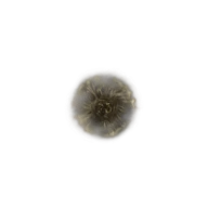 Golden Rune [3] icon