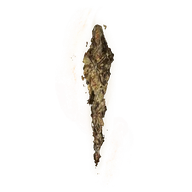 Grace Mimic icon