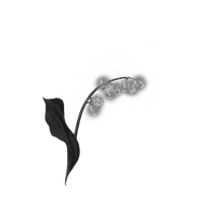 Grave Glovewort [1] icon
