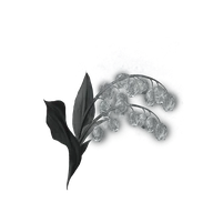 Grave Glovewort [5] icon