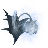 Great Ghost Glovewort icon