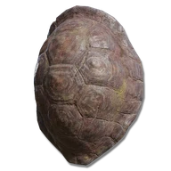 Great Turtle Shell icon
