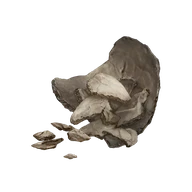 Human Bone Shard icon