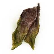 Immunizing Cured Meat icon