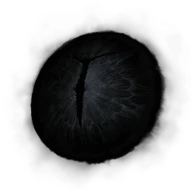 Iris of Occultation icon