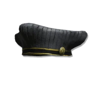 Juvenile Scholar Cap icon