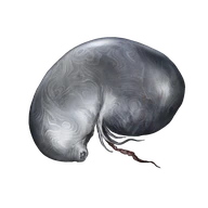 Larval Tear icon