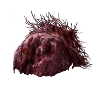 Lump of Flesh icon