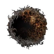 Mending Rune of the Fell Curse icon