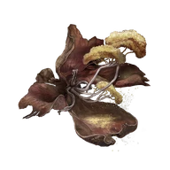 Miranda Powder icon