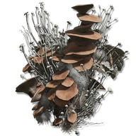 Mushroom Body icon