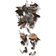 Mushroom Legs icon