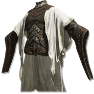 Night Maiden Armor icon
