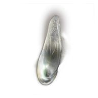 Pearlescent Scale icon