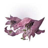 Poisonbloom icon