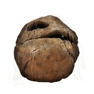 Prattling Pate "Let's get to it" icon