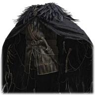 Raptor's Black Feathers icon