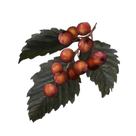 Rowa Fruit icon