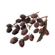 Rowa Raisin icon