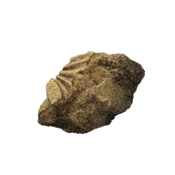 Ruin Fragment icon