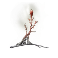 Sacramental Bud icon