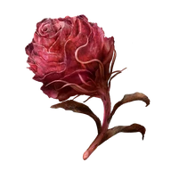 Scarlet Bud icon